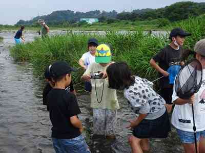 0706【総合】相模川へ探検にいきました！3