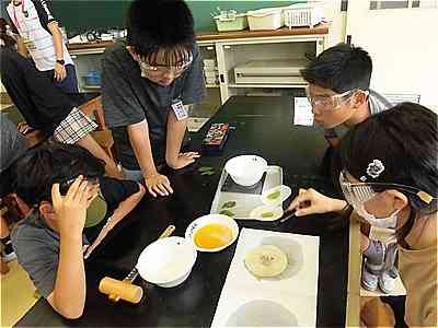 0703６年　理科「植物のからだのはたらき」1