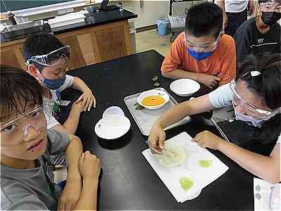 0703６年　理科「植物のからだのはたらき」2