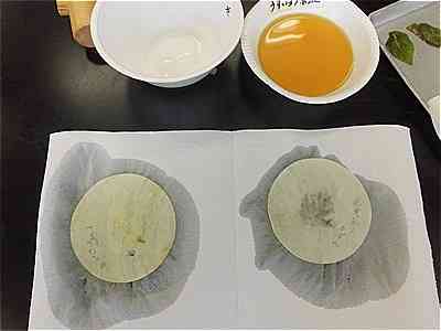 0703６年　理科「植物のからだのはたらき」3