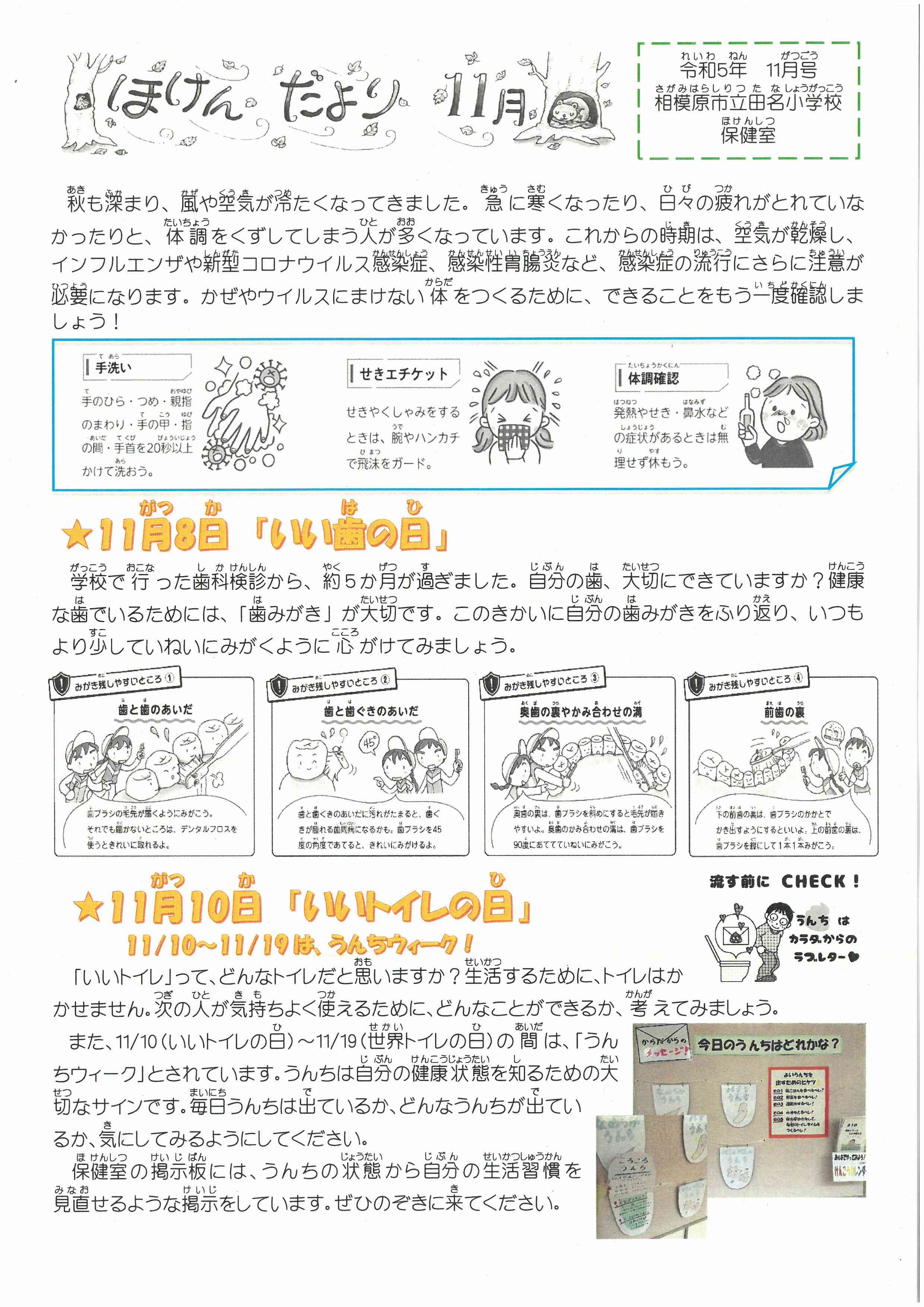 ほけんだよりR５11月表